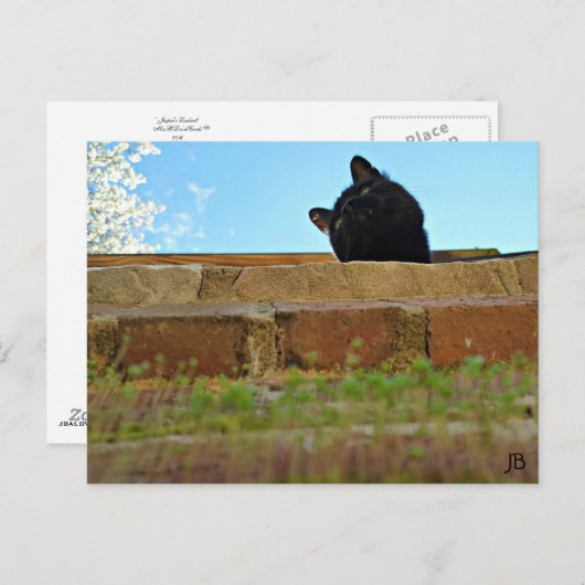 briefkaart "Jasper's Lookout" (Voorkant / Achterkant)