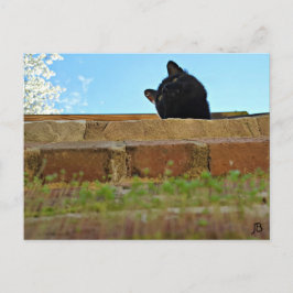 briefkaart "Jasper's Lookout"