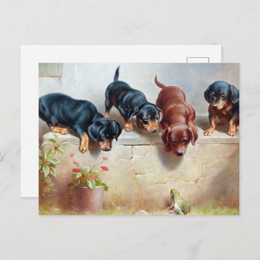 Briefkaart  jongen (Voorkant / Achterkant)