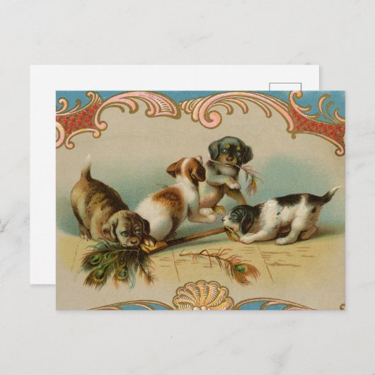 Briefkaart  jongen (Voorkant / Achterkant)