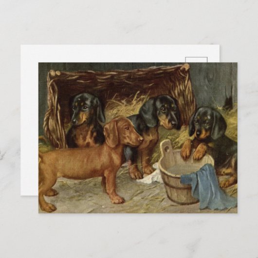 Briefkaart jongen (Voorkant / Achterkant)