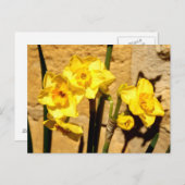 Briefkaart Jonquil Flowers (Voorkant / Achterkant)