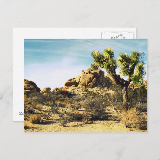 Briefkaart Joshua Tree (Voorkant / Achterkant)
