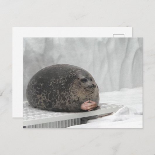 Briefkaart Judging Seal Meme (Voorkant / Achterkant)