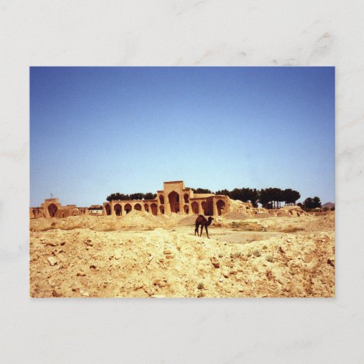 Briefkaart kamelen aan de Oude zijderoute Khorasan (Voorkant)