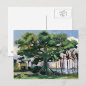 Briefkaart Kapok Tree (Voorkant / Achterkant)