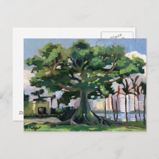 Briefkaart Kapok Tree (Voorkant / Achterkant)