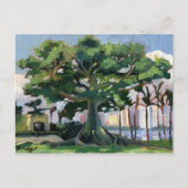Briefkaart Kapok Tree (Voorkant)