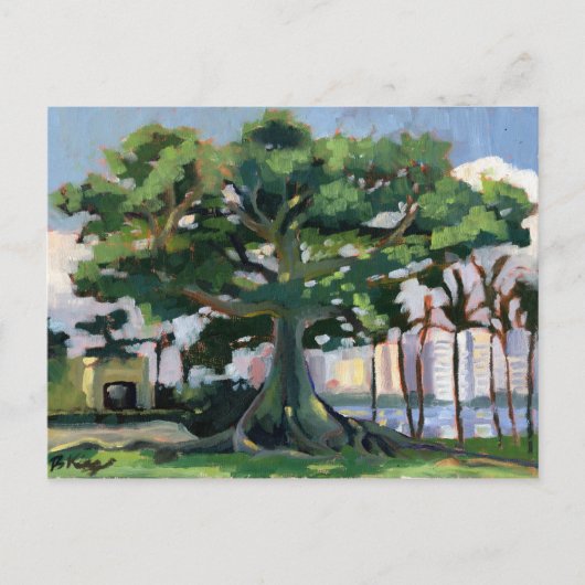 Briefkaart Kapok Tree (Voorkant)