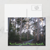 BRIEFKAART - Karri Land Zuid - Western Australië (Voorkant / Achterkant)