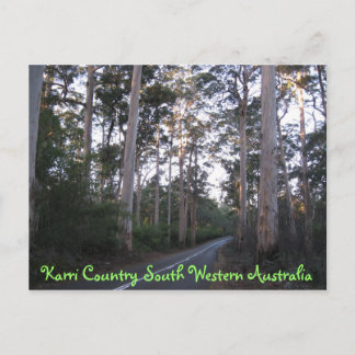 BRIEFKAART - Karri Land Zuid - Western Australië