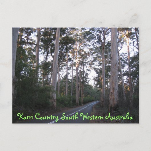 BRIEFKAART - Karri Land Zuid - Western Australië (Voorkant)