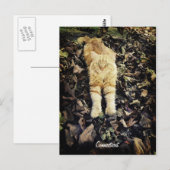 Briefkaart Kat (Voorkant / Achterkant)