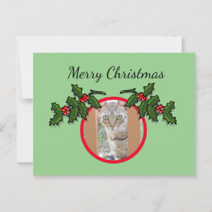 Briefkaart - Kat en kerstgroet