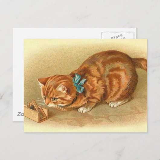 briefkaart "kat en muis" (Voorkant / Achterkant)