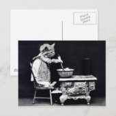 Briefkaart kat in het dress-koken (Voorkant / Achterkant)