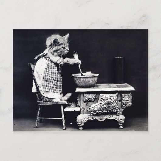 Briefkaart kat in het dress-koken (Voorkant)