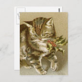 Briefkaart:  Kat met Holly Sprig Briefkaart (Voorkant / Achterkant)