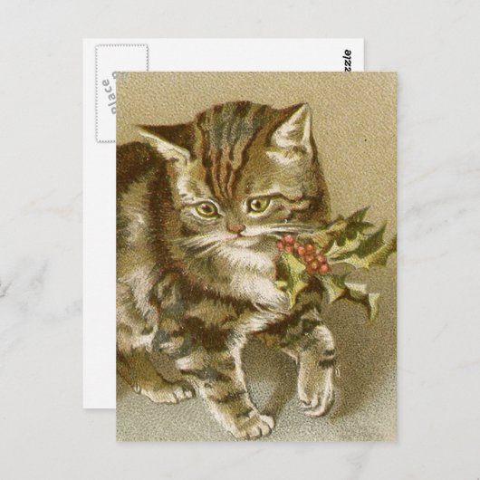 Briefkaart:  Kat met Holly Sprig Briefkaart (Voorkant / Achterkant)