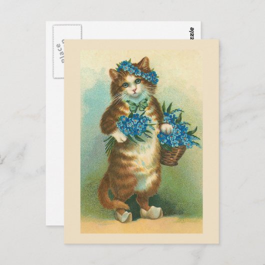 briefkaart " kat met vergeet-me-nots" (Voorkant / Achterkant)