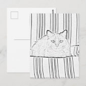 Briefkaart - Kat op gestreept stoeltje tegen kleur (Voorkant / Achterkant)