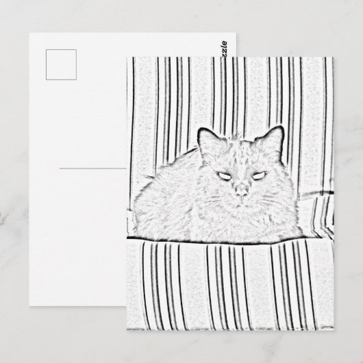 Briefkaart - Kat op gestreept stoeltje tegen kleur (Voorkant / Achterkant)