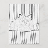 Briefkaart - Kat op gestreept stoeltje tegen kleur (Voorkant)