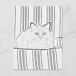 Briefkaart - Kat op gestreept stoeltje tegen kleur