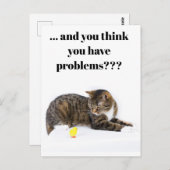 Briefkaart Katze schaut "Küken" en schwarzer Humor (Voorkant / Achterkant)