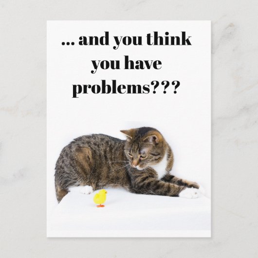 Briefkaart Katze schaut "Küken" en schwarzer Humor (Voorkant)