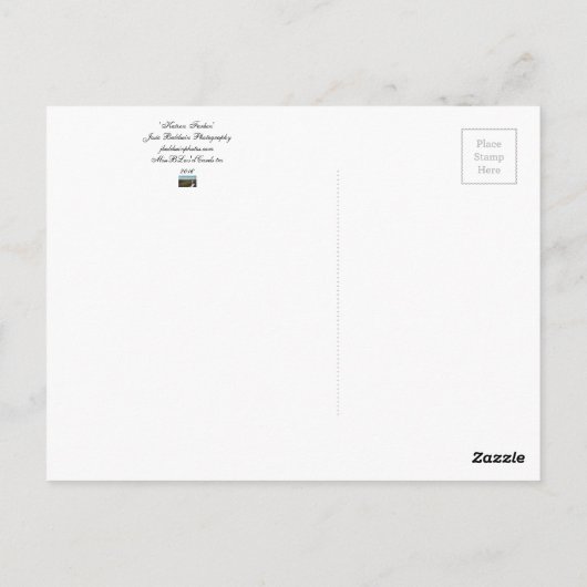 briefkaart "Katzen Farben" (Achterkant)