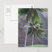 Briefkaart Kauai Palm Trees (Voorkant / Achterkant)