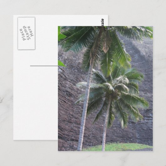 Briefkaart Kauai Palm Trees (Voorkant / Achterkant)