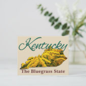 Briefkaart - KENTUCKY (Staand voorkant)