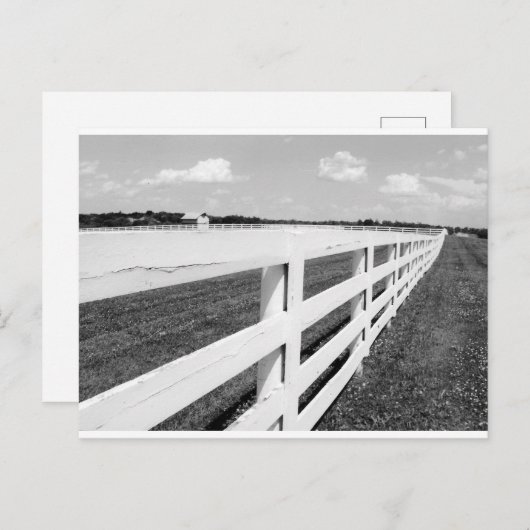 Briefkaart Kentucky Fences (Voorkant / Achterkant)