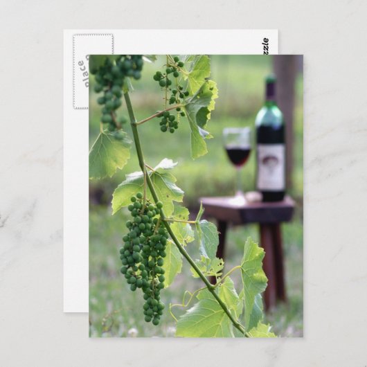 Briefkaart Kentucky Grapes (Voorkant / Achterkant)