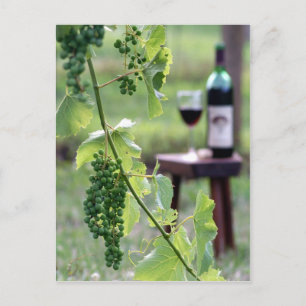 Briefkaart Kentucky Grapes