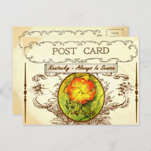  Briefkaart Kentucky State Flower (Voorkant / Achterkant)