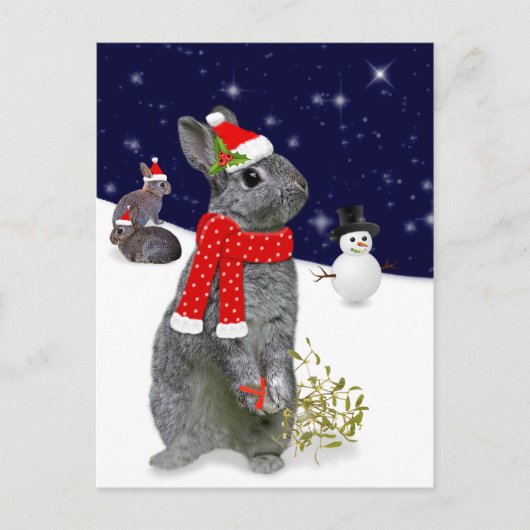 Briefkaart kerstkits (Voorkant)