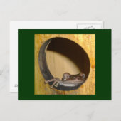 Briefkaart, Kikkerhuis Briefkaart (Voorkant / Achterkant)