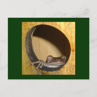 Briefkaart, Kikkerhuis Briefkaart