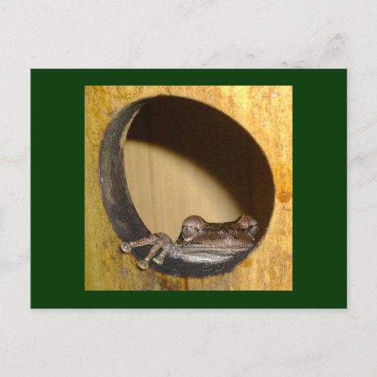 Briefkaart, Kikkerhuis Briefkaart (Voorkant)