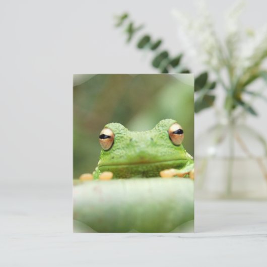 Briefkaart kikkerogen (Staand voorkant)