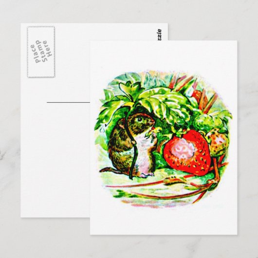 Briefkaart-Kinder Art-Beatrix Potter 13 Briefkaart (Voorkant / Achterkant)