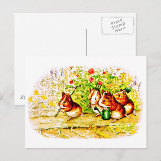 Briefkaart-Kinder Art-Beatrix Potter 28 Briefkaart (Voorkant / Achterkant)