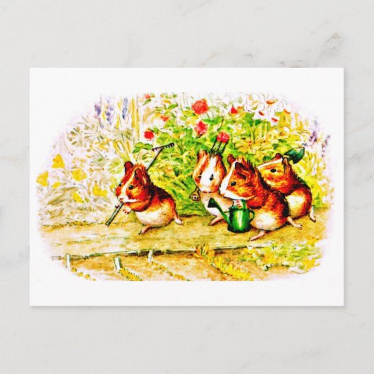 Briefkaart-Kinder Art-Beatrix Potter 28 Briefkaart (Voorkant)