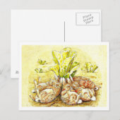 Briefkaart-Kinder Art-Beatrix Potter 30 Briefkaart (Voorkant / Achterkant)