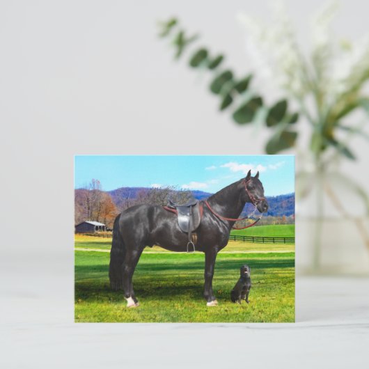 briefkaart "King Richard" (Staand voorkant)