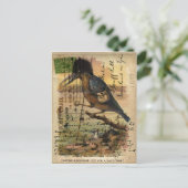 Briefkaart Kingfisher (Staand voorkant)