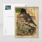 Briefkaart Kingfisher (Voorkant / Achterkant)